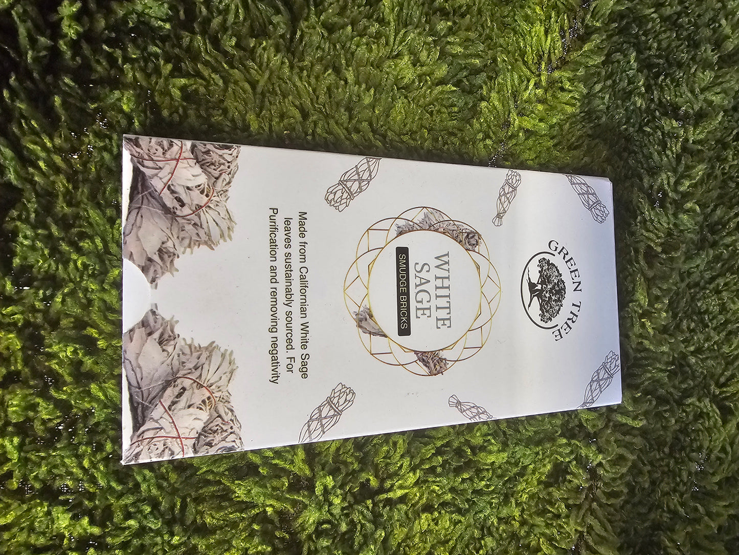 Michael (Bommel) WITSHBOX