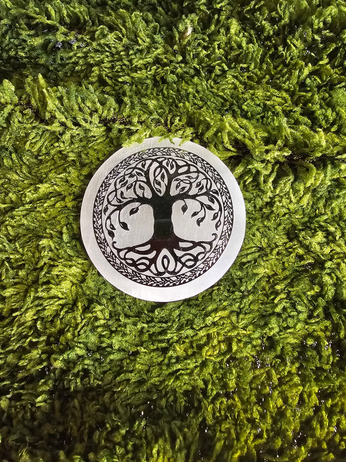 Jasmin Solve WITSHBOX