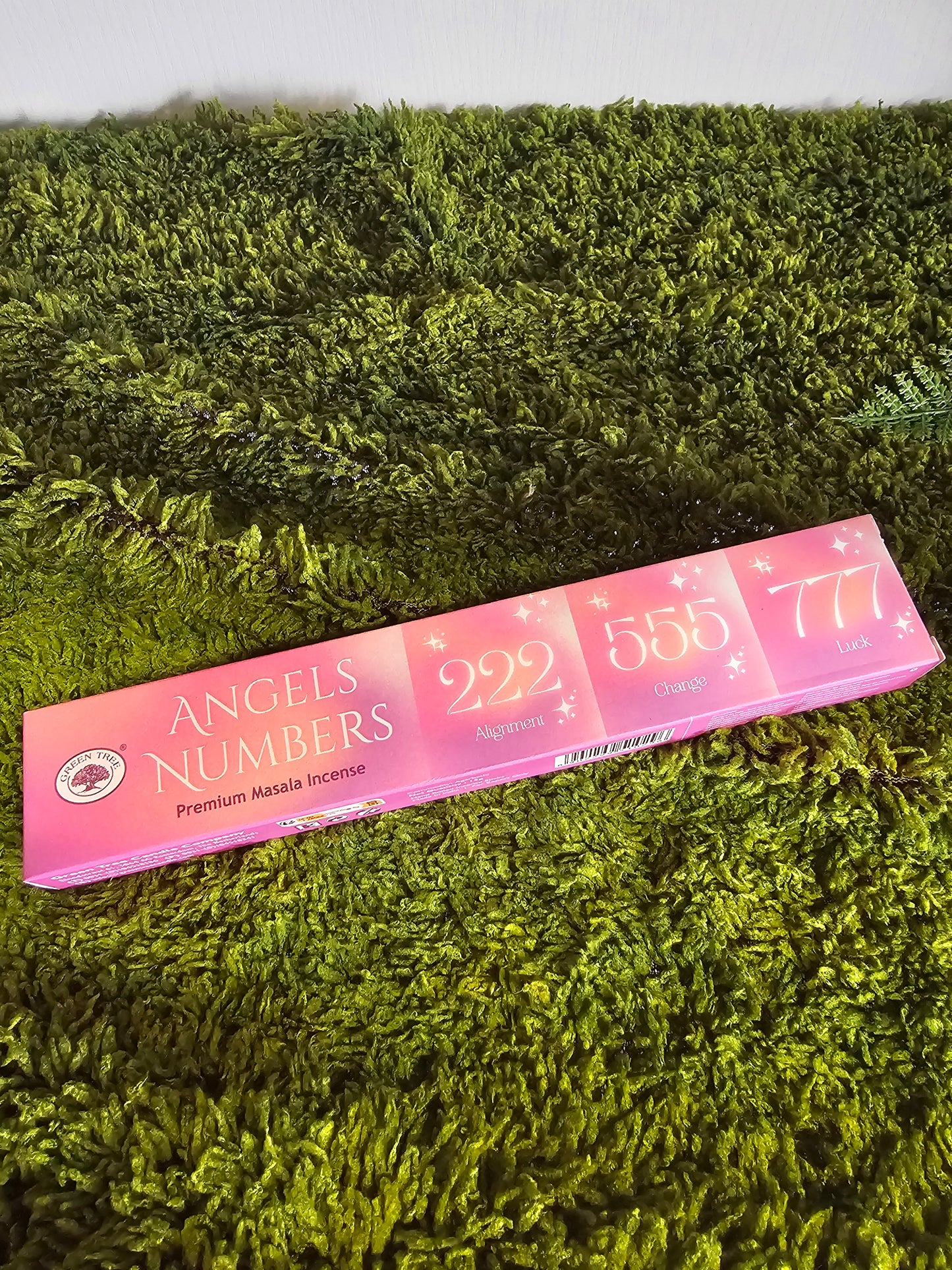 Jasmin Solve WITSHBOX