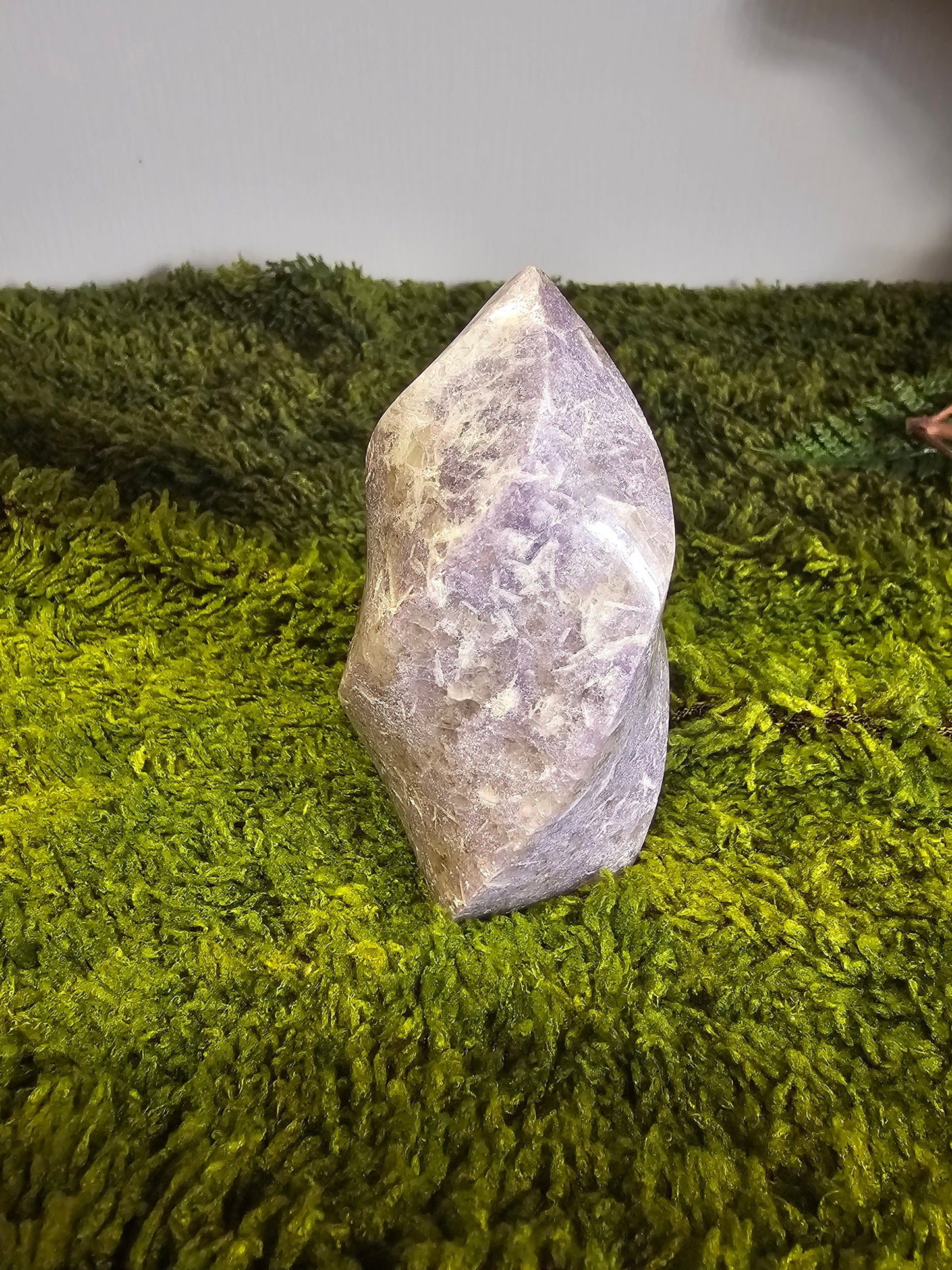 Jasmin Solve WITSHBOX