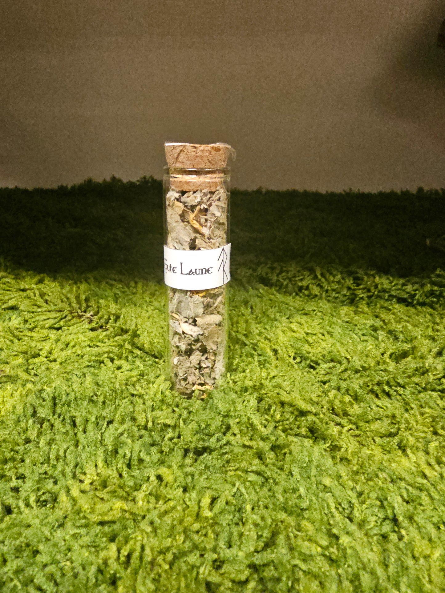 Franzi Queen WITSHBOX