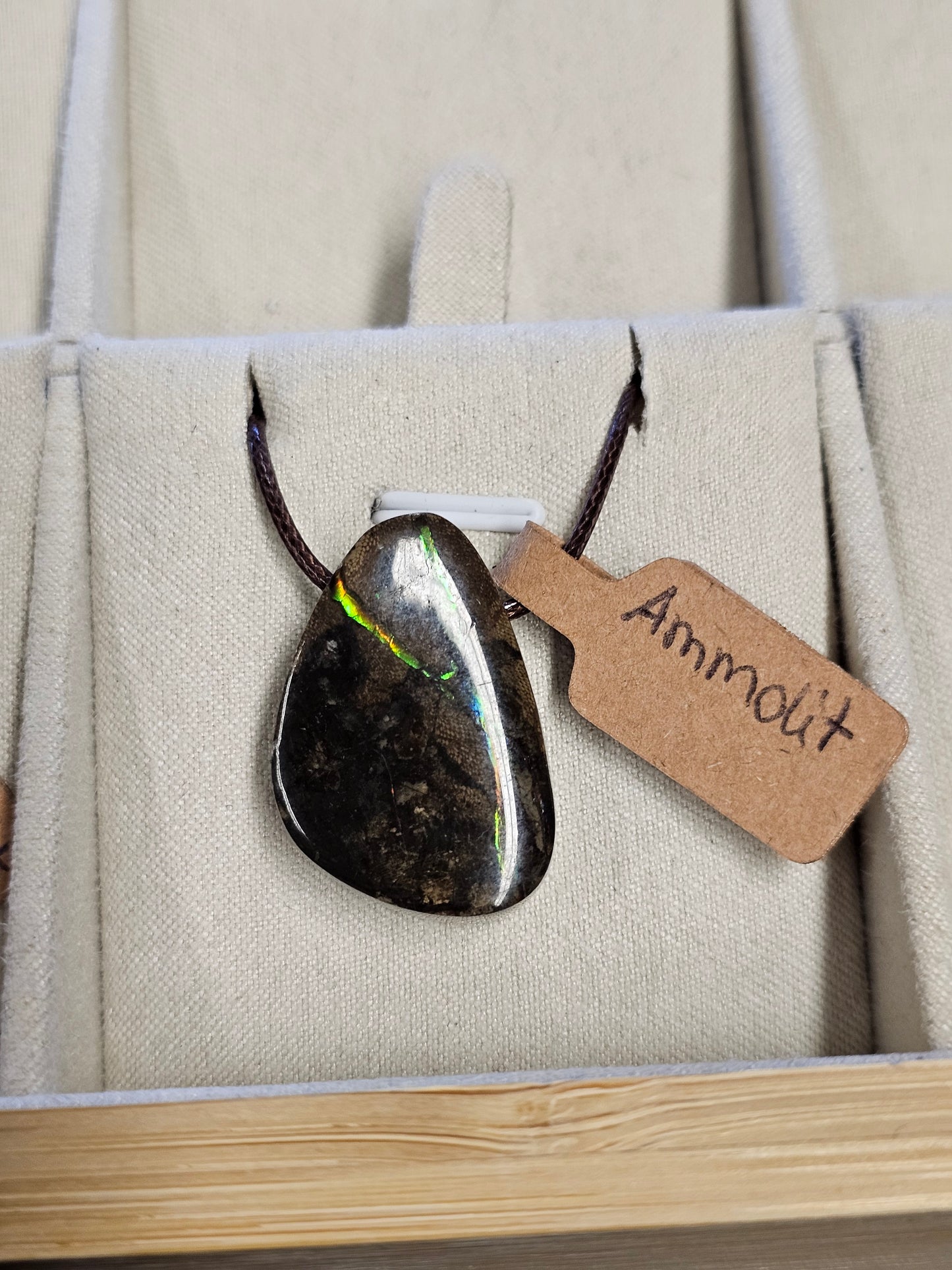 Michael (Bommel) WITSHBOX