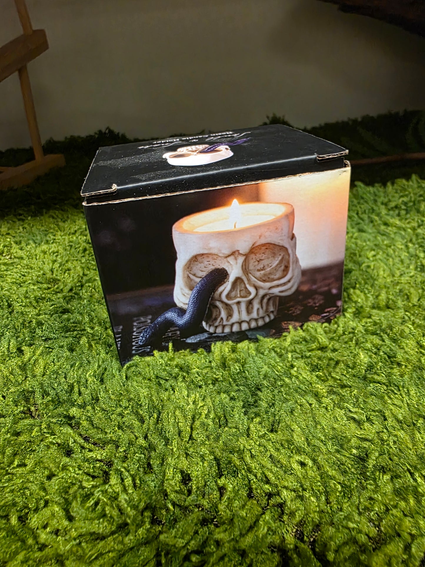 Fürstin der Finsternis WITSHBOX