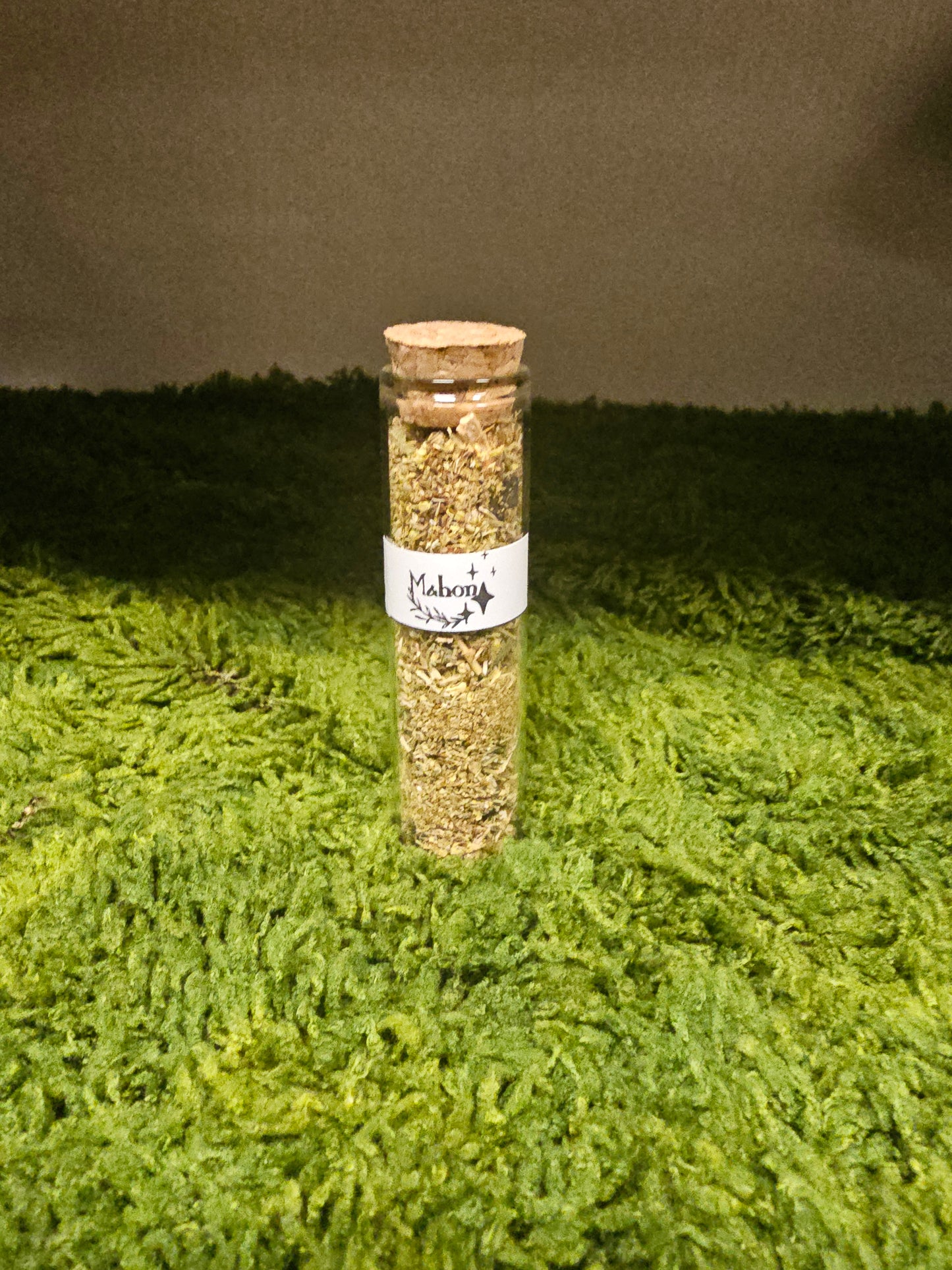 Franzi Queen WITSHBOX