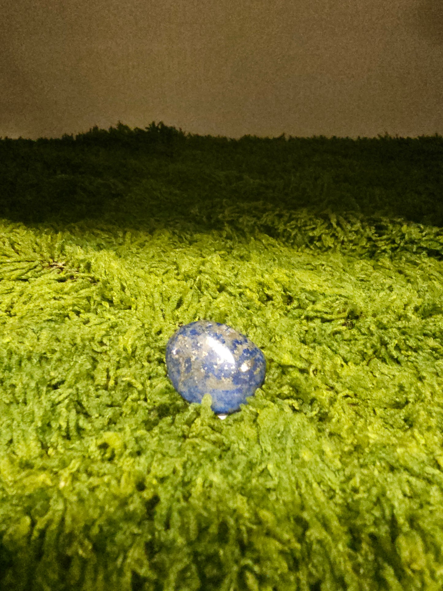 Franzi Queen WITSHBOX