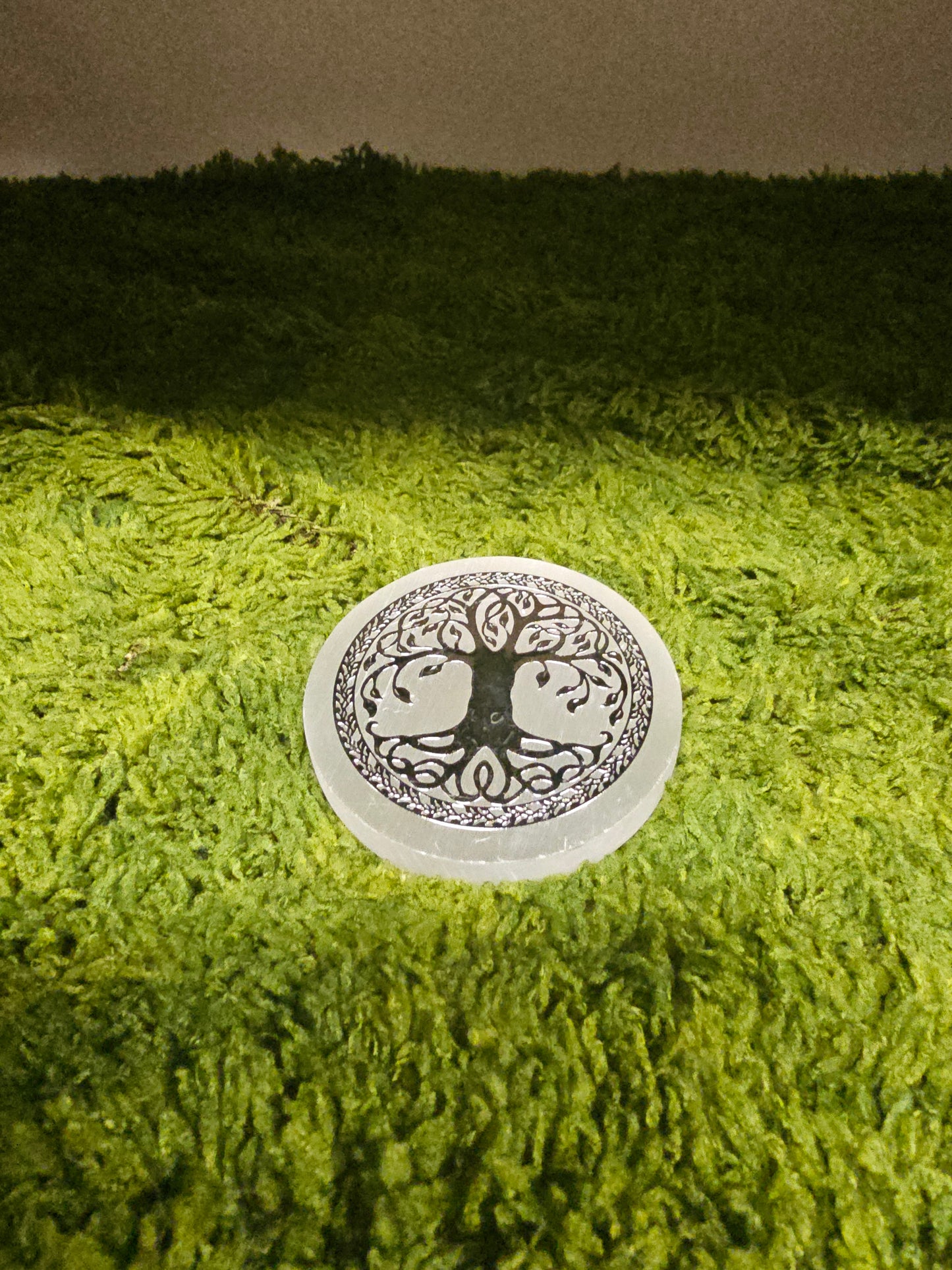 Franzi Queen WITSHBOX