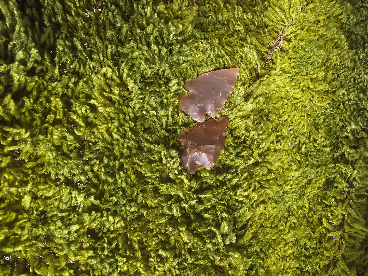 Michael (Bommel) WITSHBOX