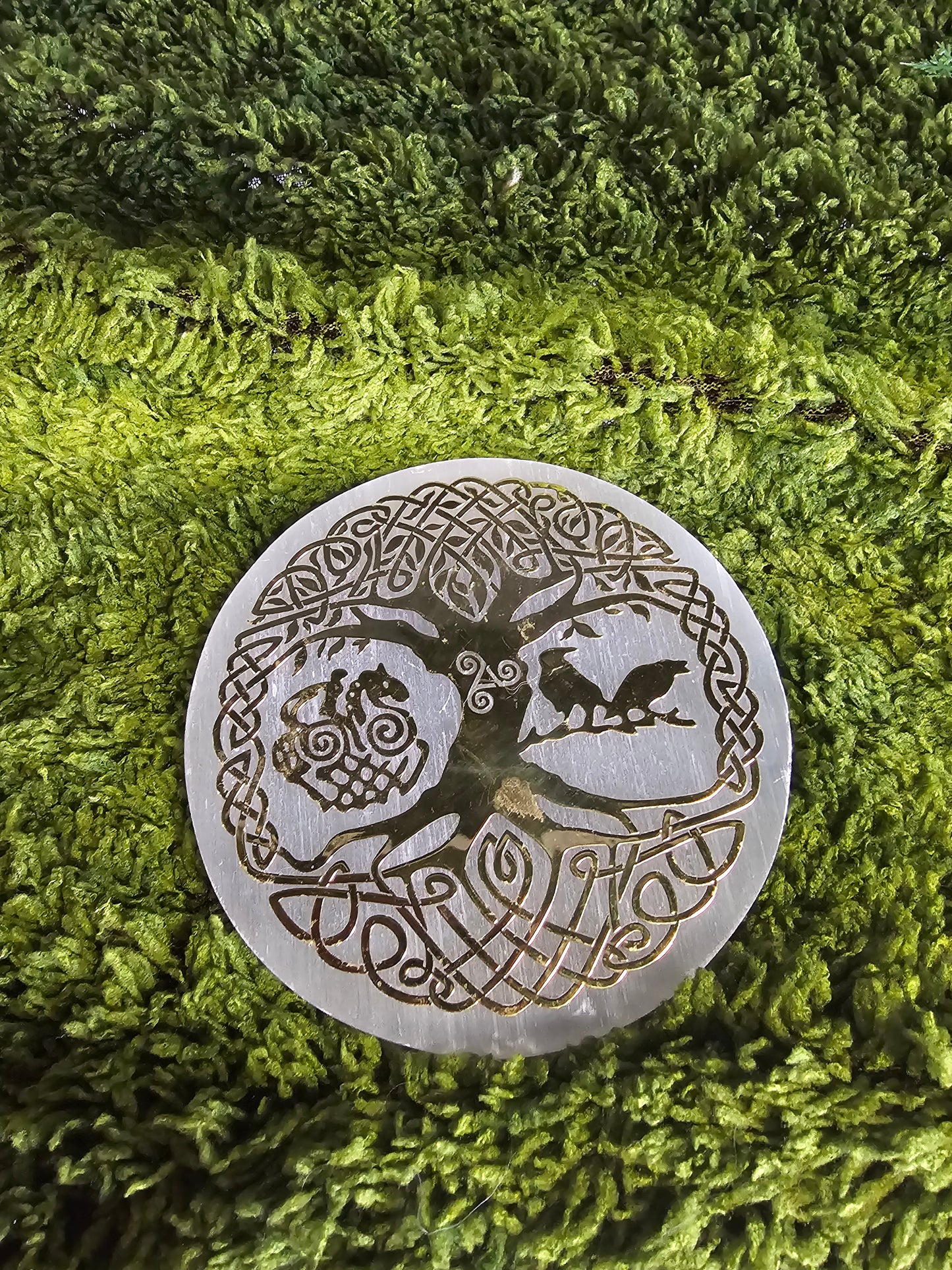 Jasmin Solve WITSHBOX