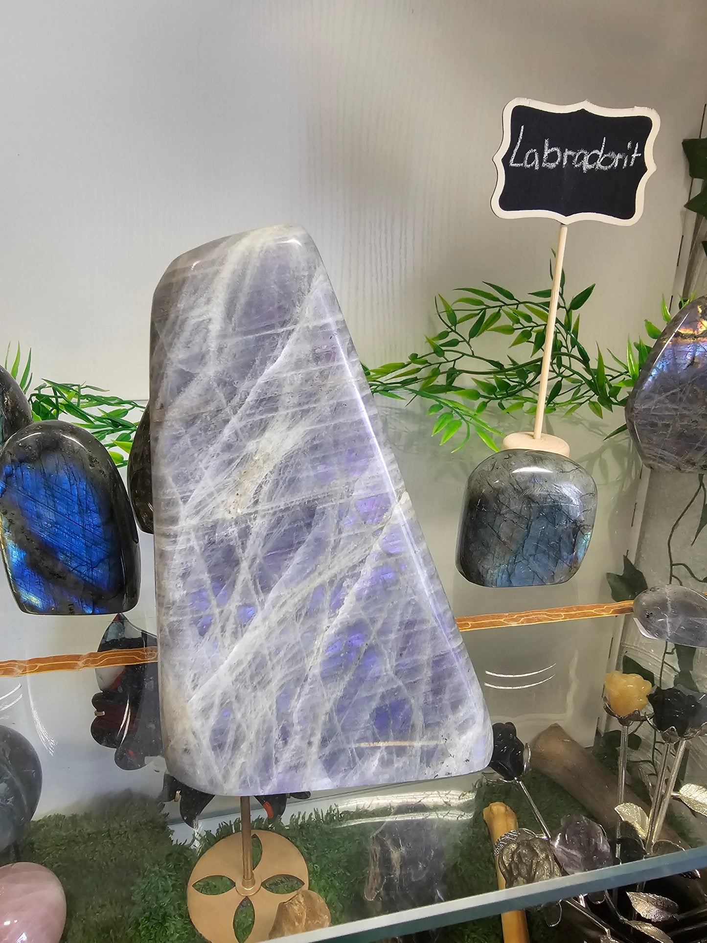 Jasmin Solve WITSHBOX