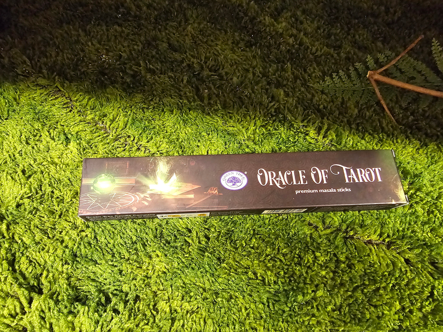 Michael (Bommel) WITSHBOX