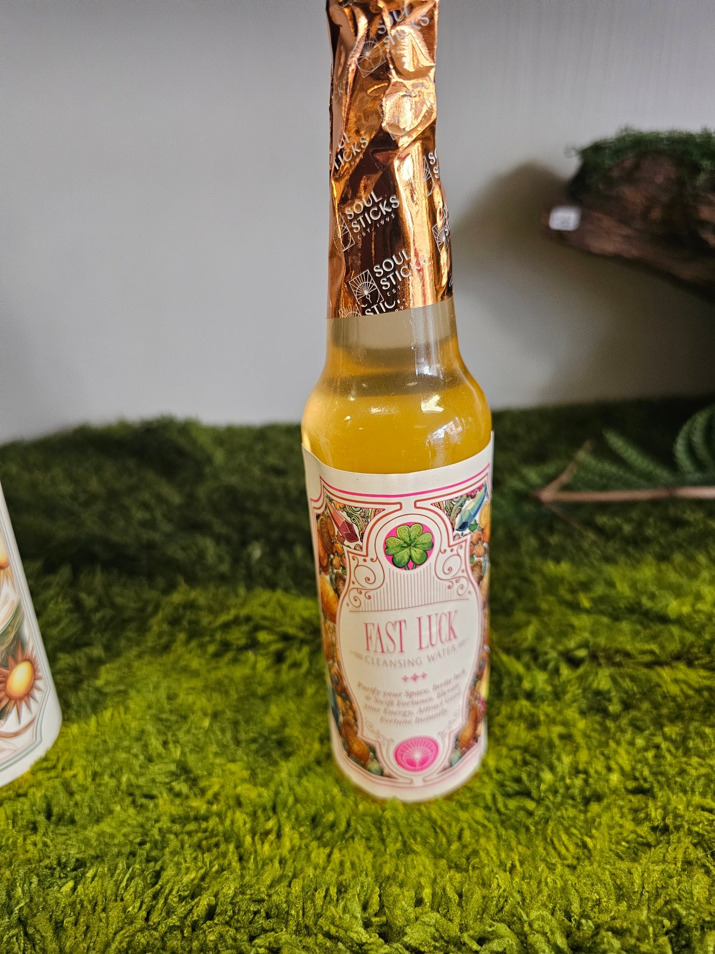 Jasmin Solve WITSHBOX