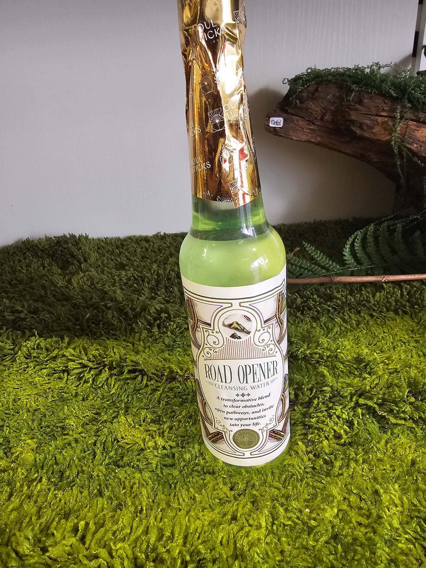 Jasmin Solve WITSHBOX