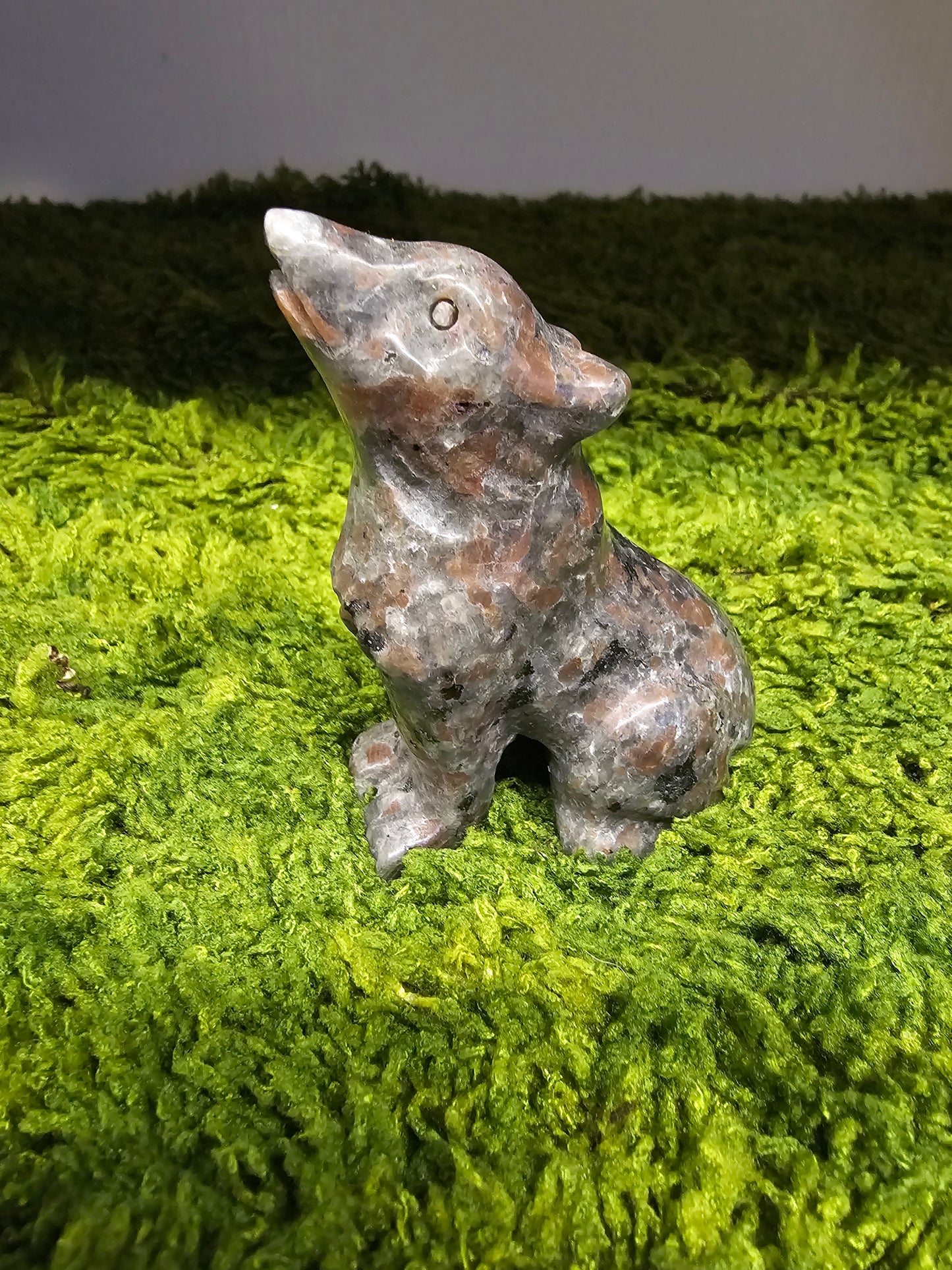 Irgendwatt66 WITSHBOX